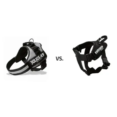K9crew-vs-Julius-K9