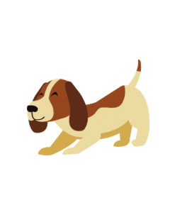 Hundetilbehør