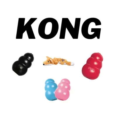 KONG hundelegetøj – Derfor skal du købe KONG til hunden